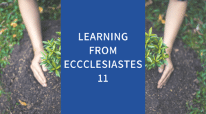Learning From Ecclesiastes 11