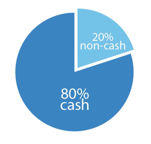 Pie Chart 2 20% non cash assets and 80% cash assets pie chart