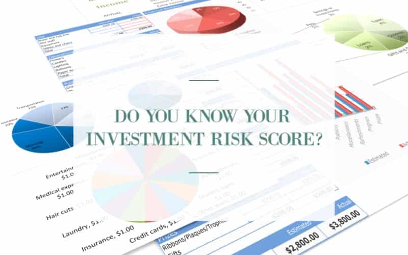 Investment Risk Score