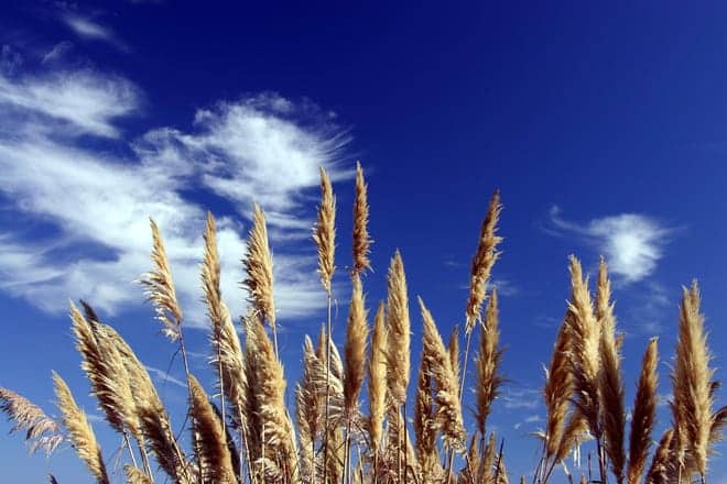 lasting financial peace lasting financial peace